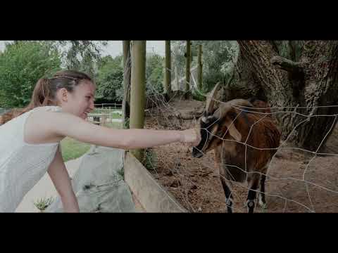 Promotion - Domaine Entre Parenthèse